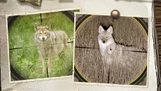 Hunting Simulator 2 é semelhante a Hunting Simulator 2