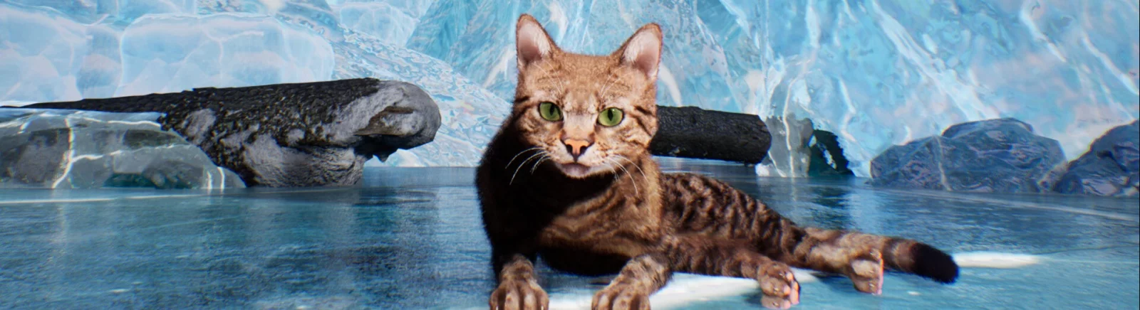 Comprar Super Cat Simulator barato, descontos de até 90% 🏷️, comparação de preços em diferentes lojas