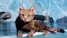 Super Cat Simulator - jogo do gênero Exploração