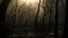 DIGESTED - jogo do gênero Mundo aberto