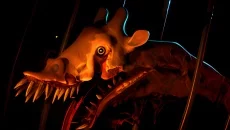 Zoochosis
