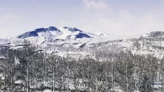 The Cold White - jogo do gênero Construção