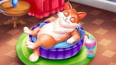Cat Sort: Purrfect Match - jogo do gênero Três em linha (Match-3)