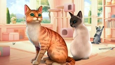 Cat Rescue Story - jogo do gênero Jogo casual