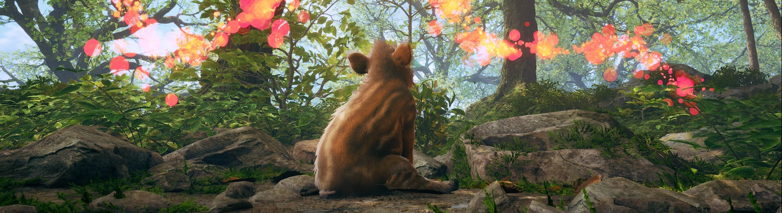 Data de lançamento Adorable Adventures em diferentes países do mundo