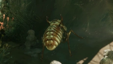 MOLD - jogo do gênero Exploração