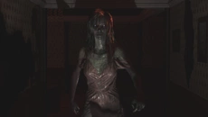 Obscula