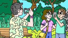 100 Cats Lost in Thailand Find & Color