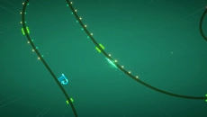 Tanglewood é semelhante a Tanglewood