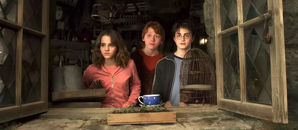 Teste: Qual Personagem de Harry Potter Você É, Albus Dumbledore ou o Senhor das Trevas?